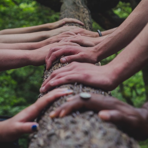 hands on tree trunk