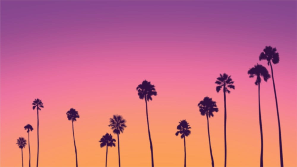 Silhouetted palm trees at sunset